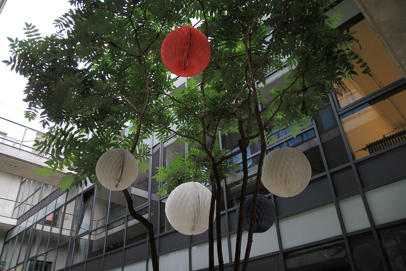 Papierlampions in kleinem Baum auf der Stadtterrasse